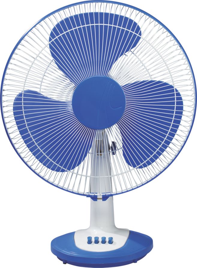 fann